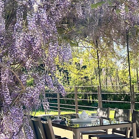 Chateau De Balleure Etrigny Bagian luar foto