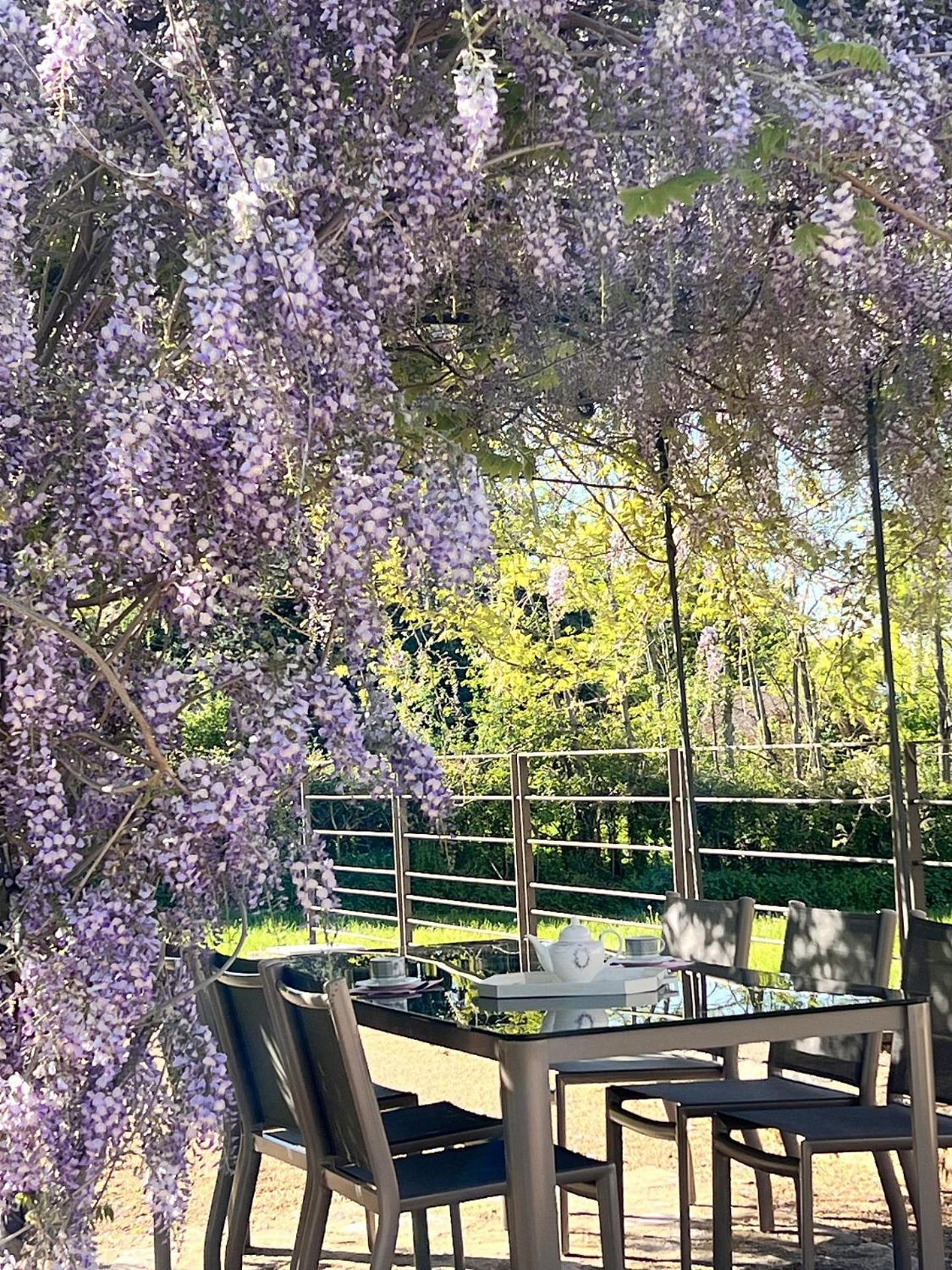 Chateau De Balleure Etrigny Bagian luar foto