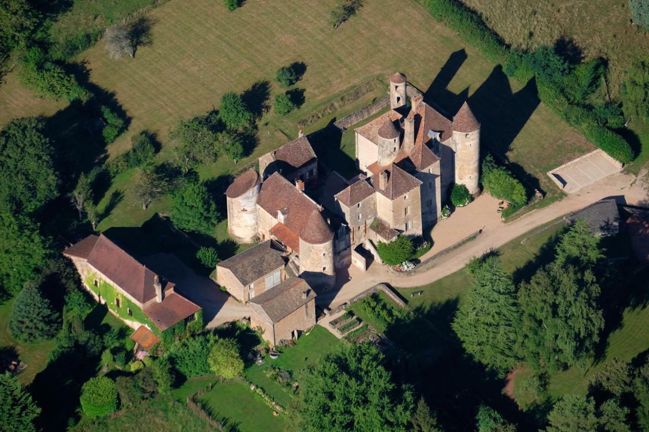 Chateau De Balleure Etrigny Bagian luar foto
