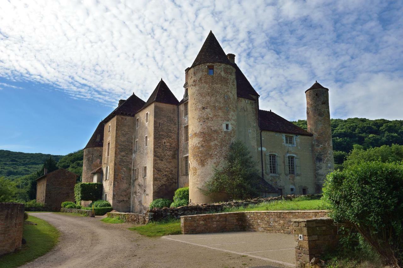 Chateau De Balleure Etrigny Bagian luar foto