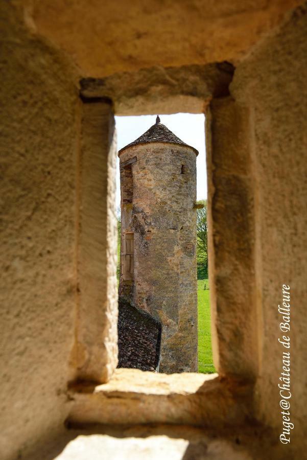 Chateau De Balleure Etrigny Bagian luar foto