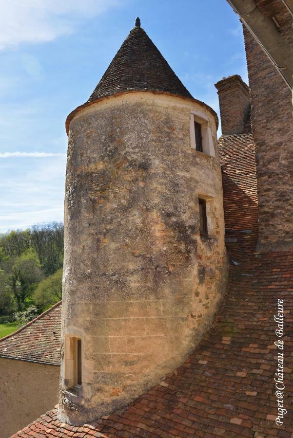 Chateau De Balleure Etrigny Bagian luar foto